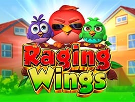 Raging Wings screenshot